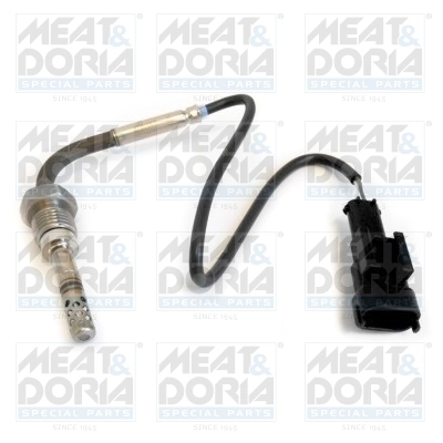 Sensor, exhaust gas temperature